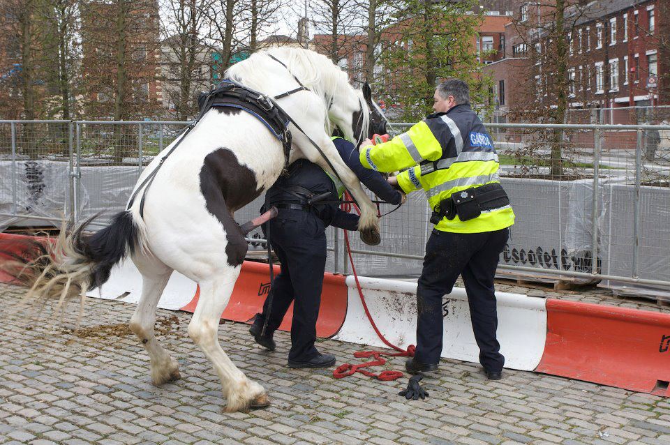 Mounted Police